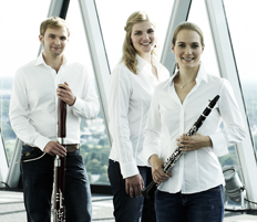 bildArtist photo of Trio Elego