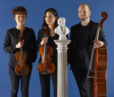 Artist photo of Trio Boccherini - Streichtrio