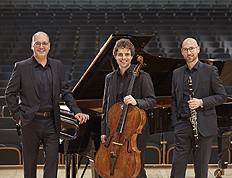 Artist photo of Trio Chronos