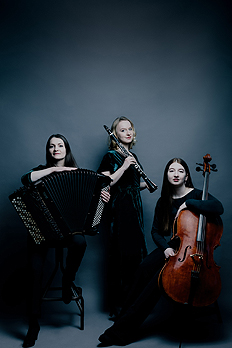 bildArtist photo of Trio Klangspektrum