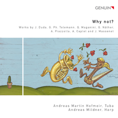 Why not? CD album cover 'Why not?' (GEN 13278) with Andreas Martin Hofmeir, Andreas Mildner
