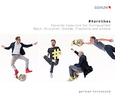 #hornlikes CD album cover '#hornlikes' (GEN 18493) with german hornsound